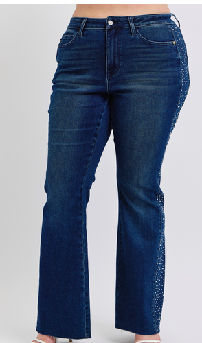 CURVY Judy Blue Side of Sparkle Jeans