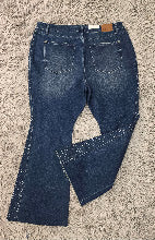 CURVY Judy Blue Side of Sparkle Jeans
