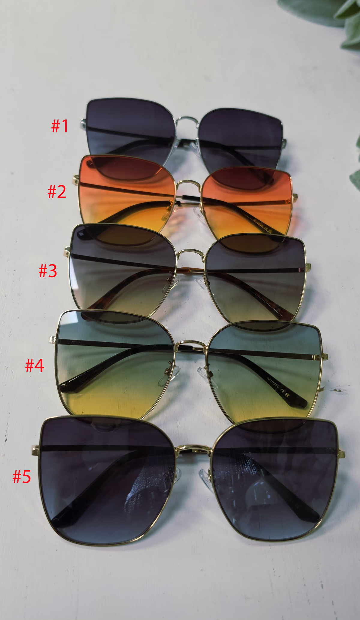 Shady Lady Sunnies